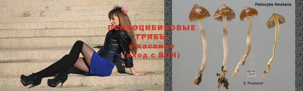 кокаин Бородино