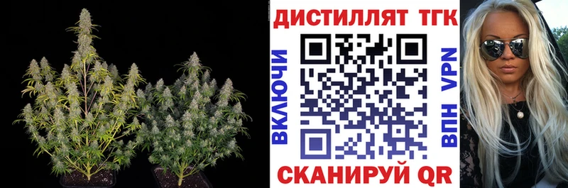 ТГК Wax  Губкин 
